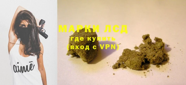 индика Баксан
