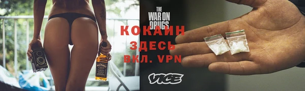 индика Баксан