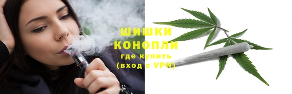 индика Баксан