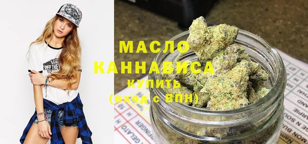 индика Баксан