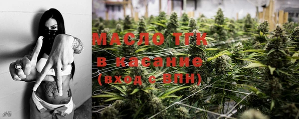 индика Баксан