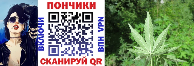 Марихуана OG Kush  Купить закладки  Королёв 